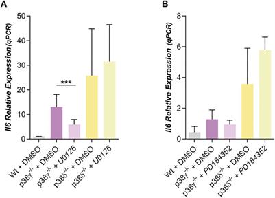 Title: p38δ Regulates IL6 Expression Modulating ERK Phosphorylation in Preadipocytes